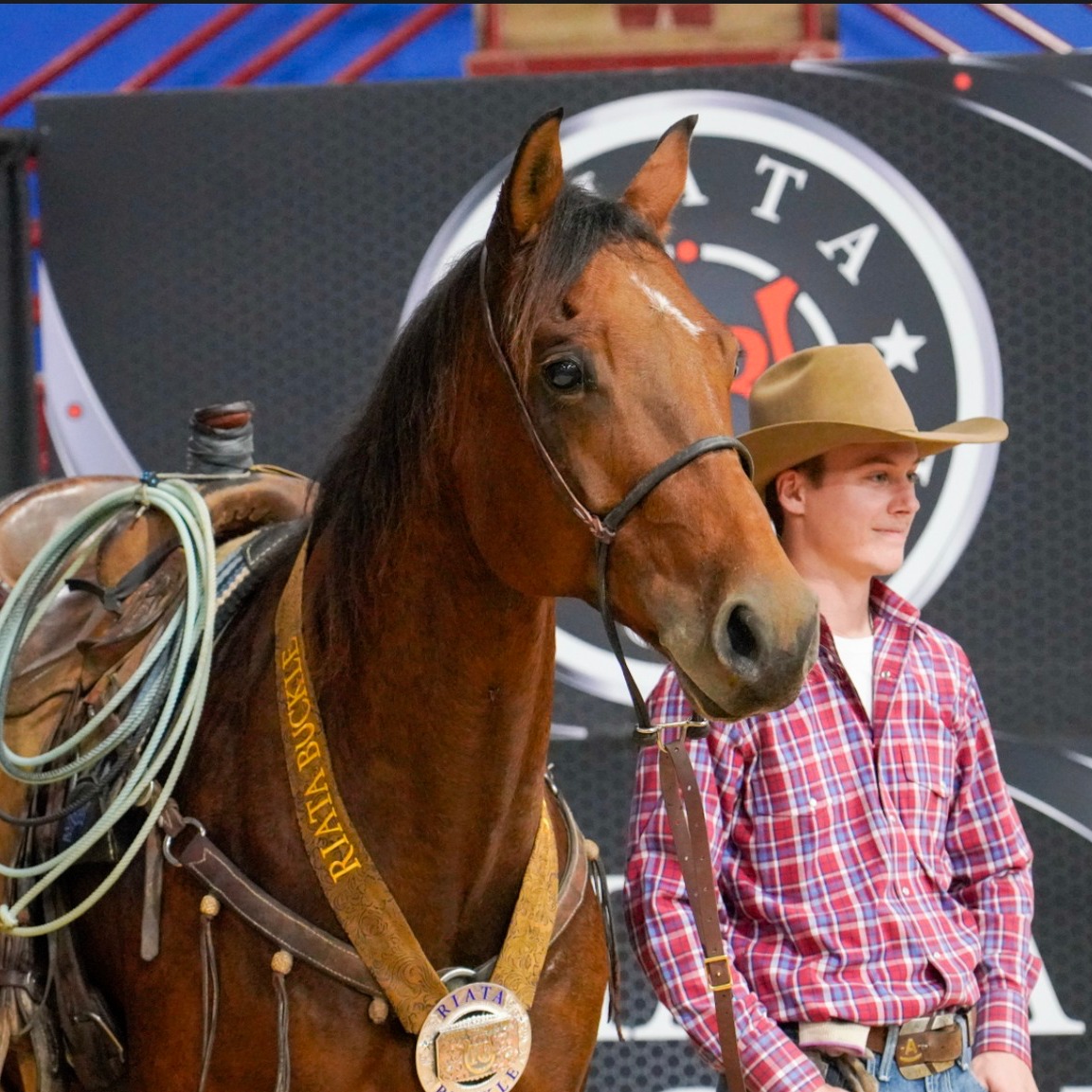 Ace Ashford (2006-2024)