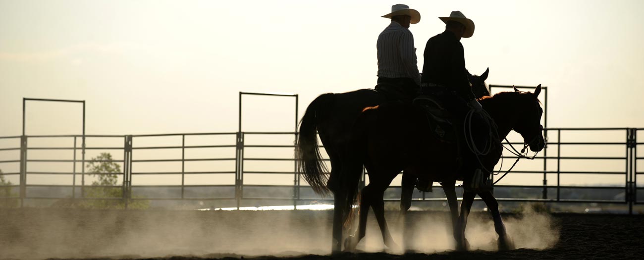 Team ropers riding horseback